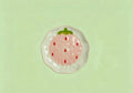 Little Strawberry Dish｜草莓小盘子