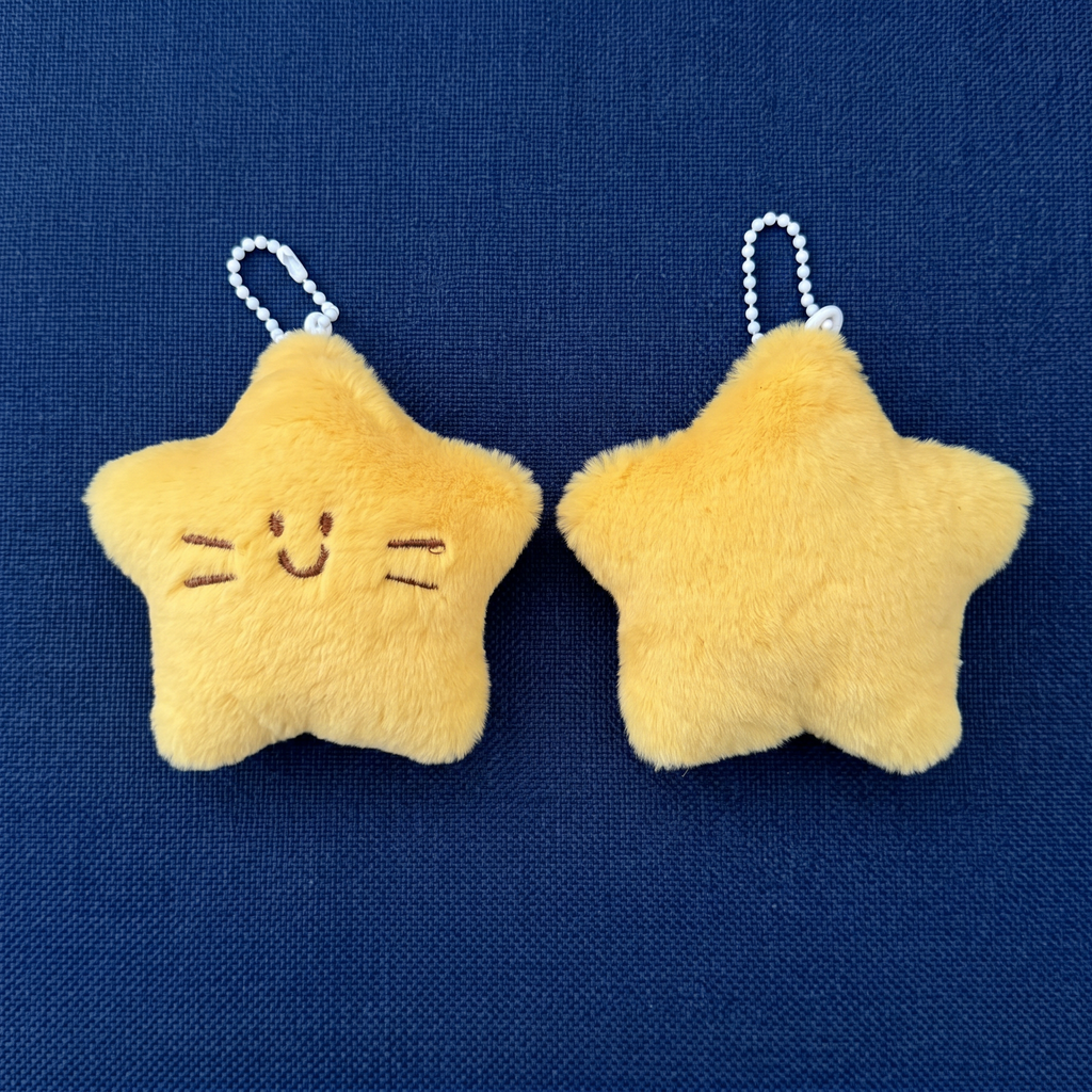 Pretty Little Star Keychain｜标致的小星星挂件